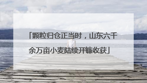 颗粒归仓正当时，山东六千余万亩小麦陆续开镰收获
